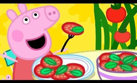 Peppa Pig Full Episodes | Grandpa Pig's Greenhouse | Cartoons for Children