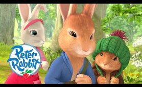 Peter Rabbit - Tales of the Three Mischievous Rabbits | 1 hour+ of Adventures! | Cartoons for Kids