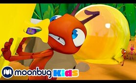Heavy Meal | Moonbug Kids TV Shows - Full Episodes | Cartoons For Kids