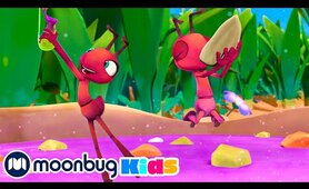 Mystery Mix | Moonbug Kids TV Shows - Full Episodes | Cartoons For Kids