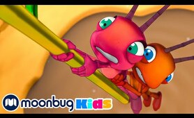 That Sinking Feeling | Moonbug Kids TV Shows - Full Episodes | Cartoons For Kids