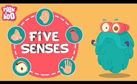 The Five Senses | The Dr. Binocs Show | Educational Videos For Kids