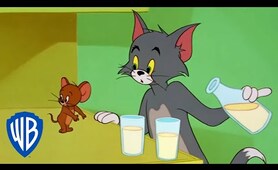 Tom & Jerry | Tom & Jerry in Full Screen | Classic Cartoon Compilation | WB Kids