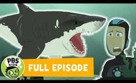 Wild Kratts FULL EPISODE! | Stuck on Sharks | PBS KIDS