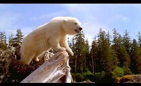 ALASKA – Adventure, Family Movie // Full Movie