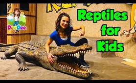 Reptiles for Kids | Educational Videos