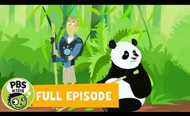 Wild Kratts FULL EPISODE | 