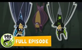 Wild Kratts FULL EPISODE | 