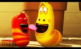 LARVA - BUBBLEGUM | 2017 Full Movie Cartoon | Cartoons For Children | Kids TV Shows Full Episodes