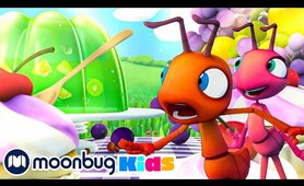 Jelly Bellies | Moonbug Kids TV Shows - Full Episodes | Cartoons For Kids