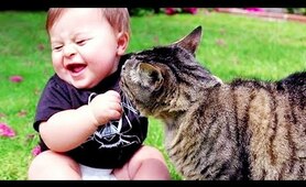 Cutest Babies Play With Dogs And Cats Compilation || Cool Peachy