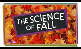 The Science of Fall | Compilation | SciShow Kids