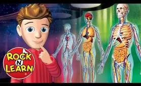 Human Body - Science for Kids - Rock 'N Learn