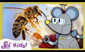 How Do Bees Make Honey? | The Science of Food! | SciShow Kids