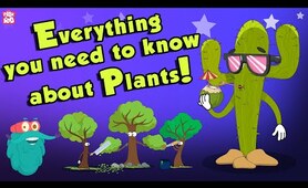 Everything You Need To Know About Plants | Source Of Oxygen | The Dr Binocs Show | Peekaboo Kidz