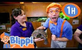 Learn and Play with Blippi at the Science Center for Kids! | Educational Videos for Kids